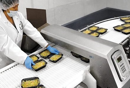 Food Metal Detector
