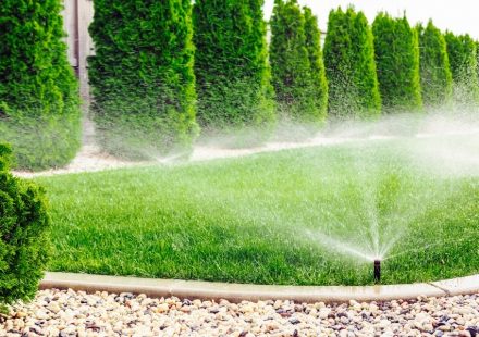 Sprinkler