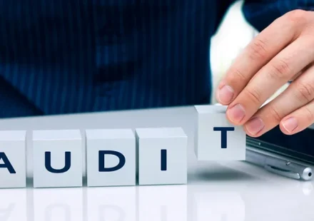 Audit Firm